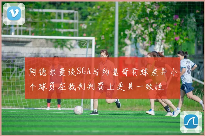 阿德尔曼谈SGA与约基奇罚球差异小个球员在裁判判罚上更具一致性